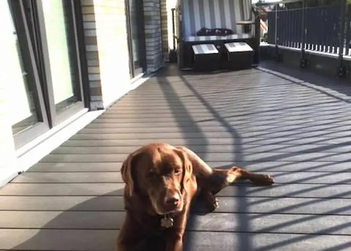 Stoertebeker 7 - Strandkorb * Kellenhusen